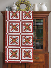 Load image into Gallery viewer, PATTERN BOOK,  Treasure Hunt from Martingale

