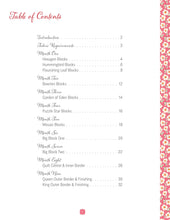 Load image into Gallery viewer, PATTERN BOOK, Aunt Grace Baskets of Scraps Block of the Month
